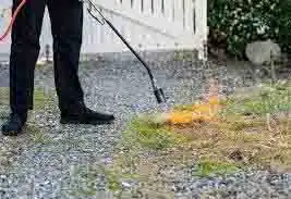 Désherbage thermique à la flamme