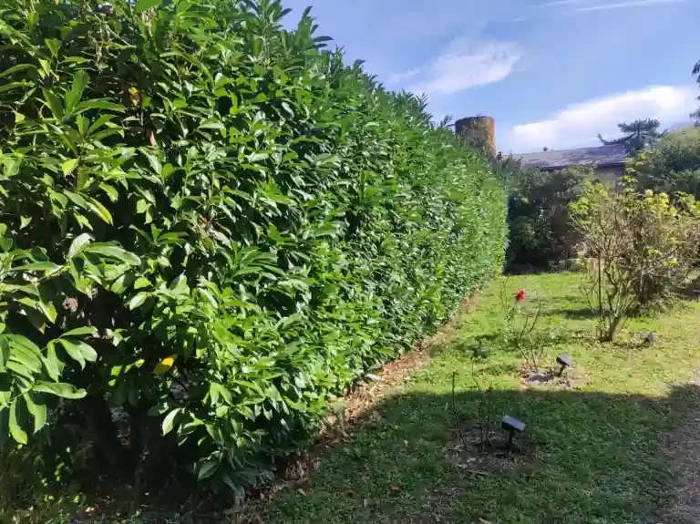 Découvrir HDVx, le robot taille-haie CYRiX
